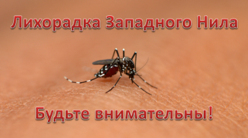 Осторожно-Лихорадка Западного Нила (ЛЗН) Осторожно-Лихорадка Западного Нила (ЛЗН).