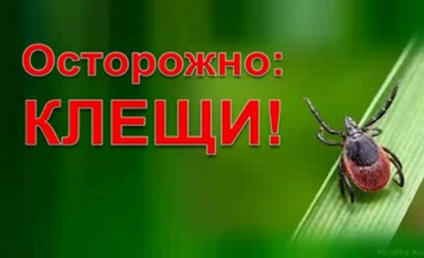 "Осторожно, клещи" "Осторожно, клещи".